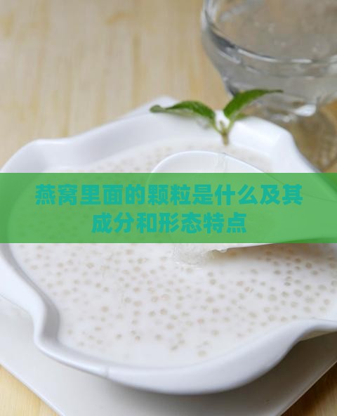 燕窝里面的颗粒是什么及其成分和形态特点