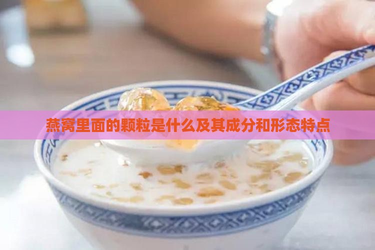 燕窝里面的颗粒是什么及其成分和形态特点