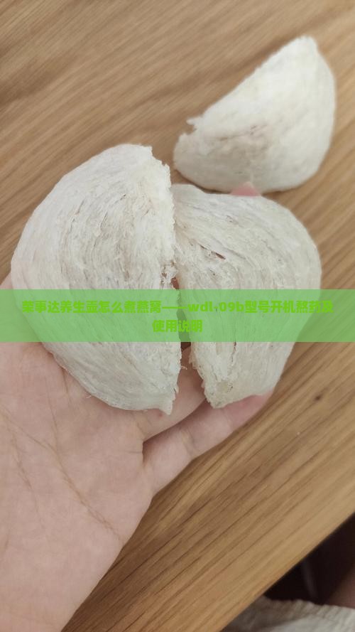 荣事达养生壶怎么煮燕窝——wdl-09b型号开机熬药及使用说明