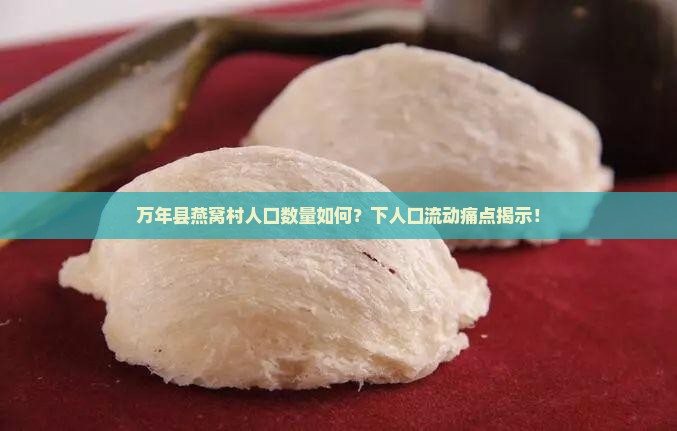 万年县燕窝村人口数量如何？下人口流动痛点揭示！