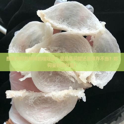 燕窝为何有特殊的嗖嗖味？是品质问题还是保存不当？如何鉴别和处理？