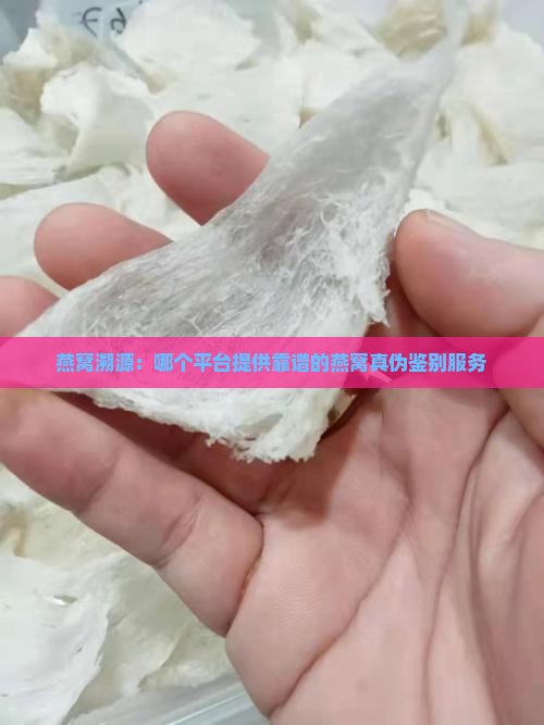 燕窝溯源：哪个平台提供靠谱的燕窝真伪鉴别服务