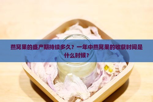 燕窝果的盛产期持续多久？一年中燕窝果的收获时间是什么时候？