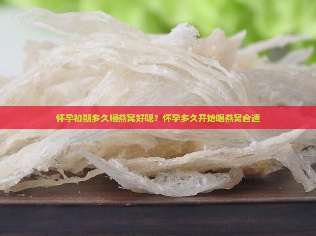 怀孕初期多久喝燕窝好呢？怀孕多久开始喝燕窝合适