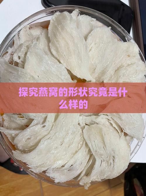 探究燕窝的形状究竟是什么样的