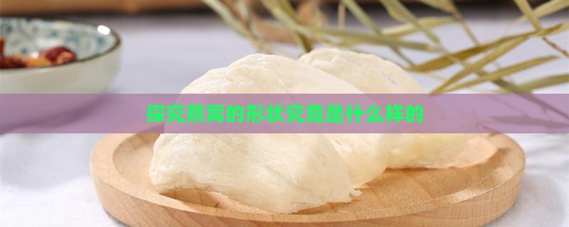 探究燕窝的形状究竟是什么样的