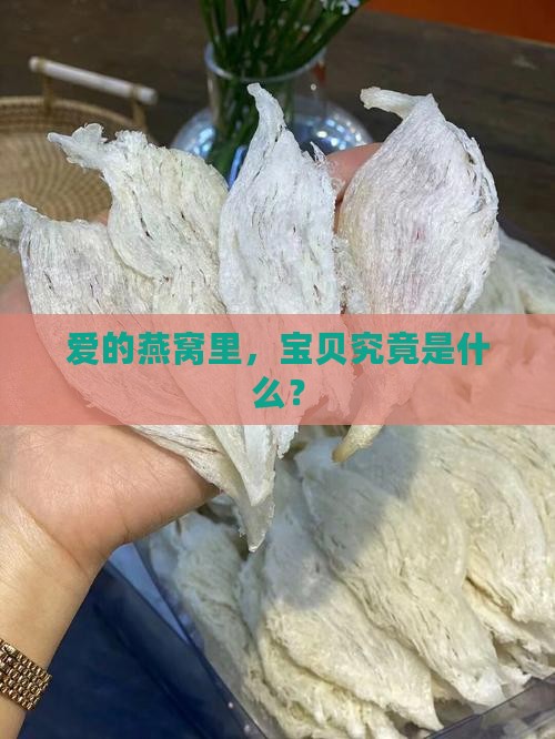 爱的燕窝里，宝贝究竟是什么？