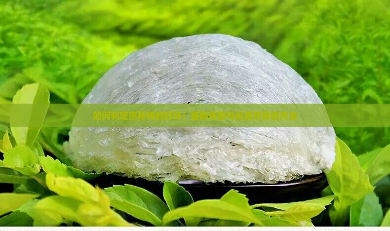 如何判定燕窝栈的好坏：鉴别真假与优质燕窝的方法