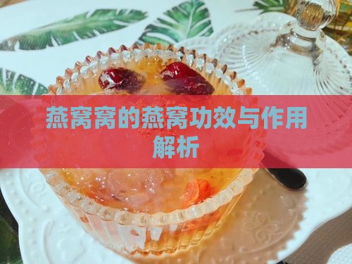 燕窝窝的燕窝功效与作用解析