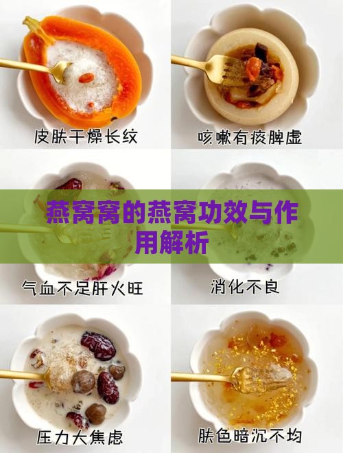 燕窝窝的燕窝功效与作用解析