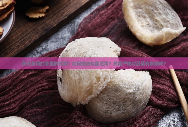 燕安居用的哪里的燕窝？如何挑选优质燕窝？燕窝产地对品质有影响吗？