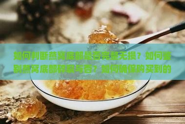 如何判断燕窝底部是否完整无损？如何鉴别燕窝底部碎裂与否？如何确保购买到的燕窝底部质量达标？