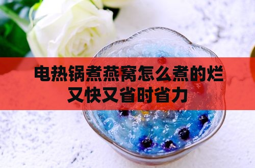 电热锅煮燕窝怎么煮的烂又快又省时省力