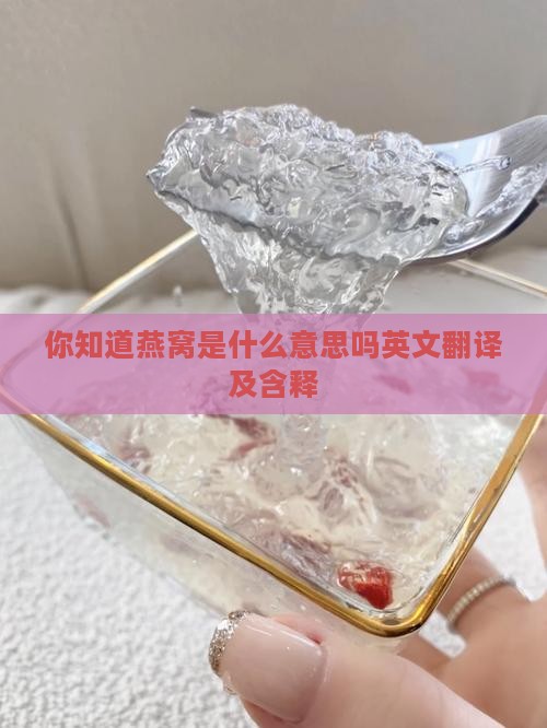 你知道燕窝是什么意思吗英文翻译及含释