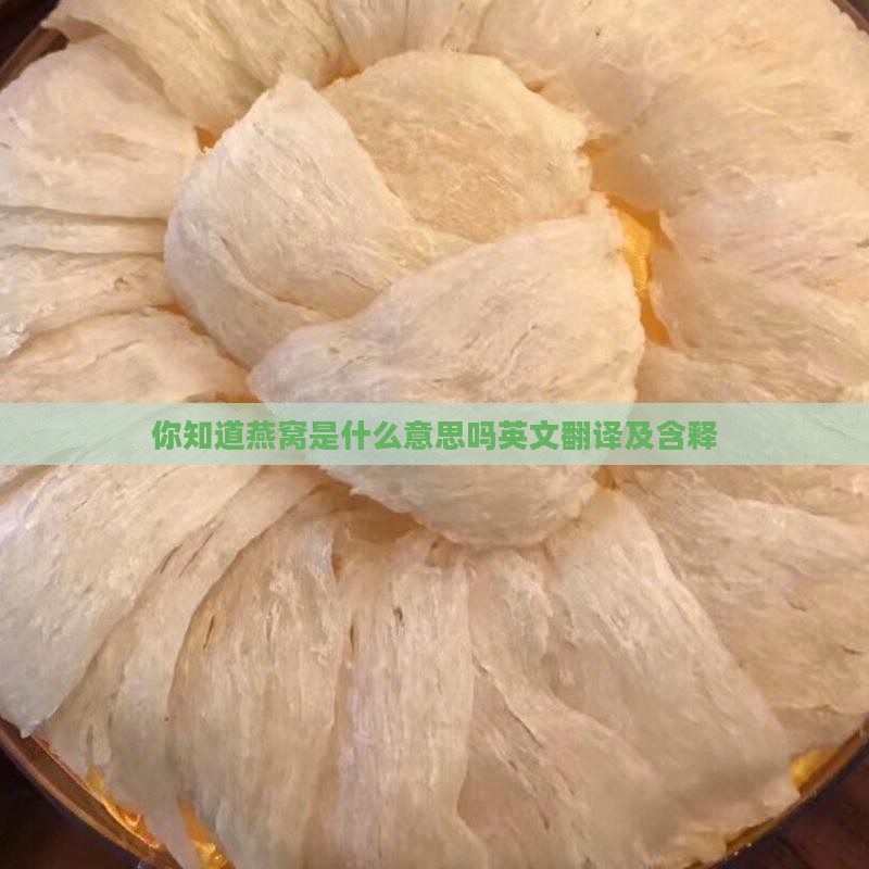 你知道燕窝是什么意思吗英文翻译及含释