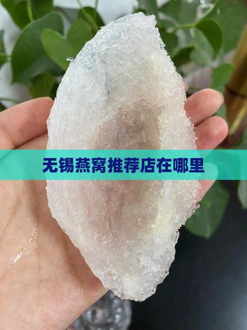 无锡燕窝推荐店在哪里