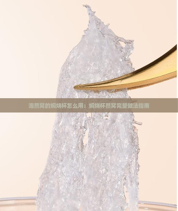 泡燕窝的焖烧杯怎么用：焖烧杯燕窝完整做法指南