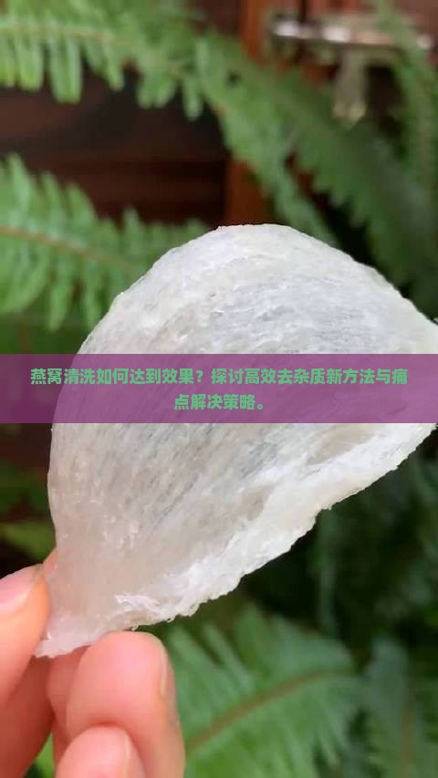 燕窝清洗如何达到效果？探讨高效去杂质新方法与痛点解决策略。
