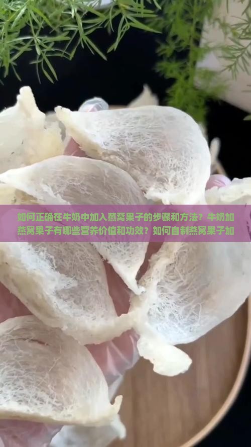 如何正确在牛奶中加入燕窝果子的步骤和方法？牛奶加燕窝果子有哪些营养价值和功效？如何自制燕窝果子加入牛奶的食谱？