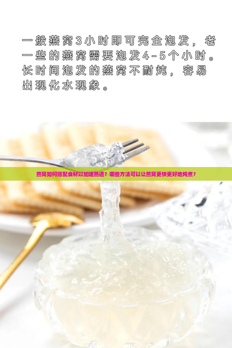 燕窝如何搭配食材以加速熟透？哪些方法可以让燕窝更快更好地炖煮？