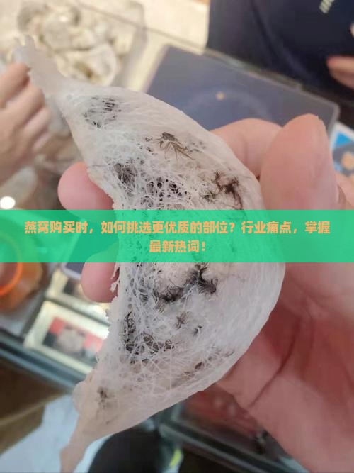 燕窝购买时，如何挑选更优质的部位？行业痛点，掌握最新热词！