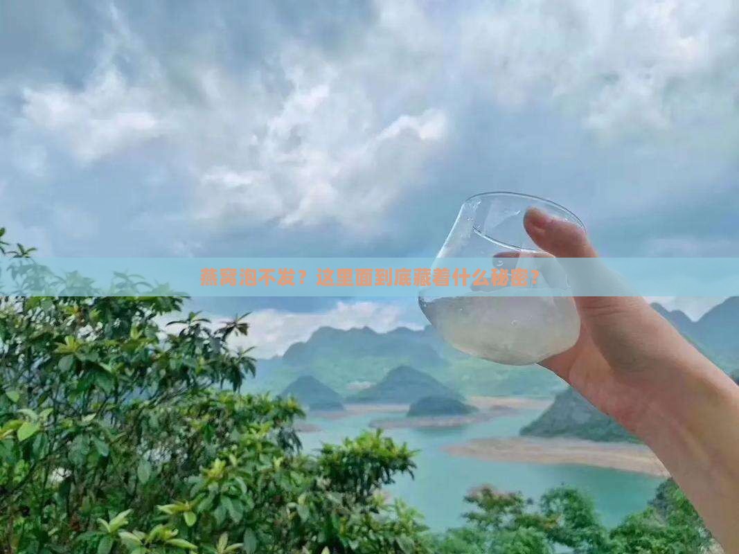 燕窝泡不发？这里面到底藏着什么秘密？
