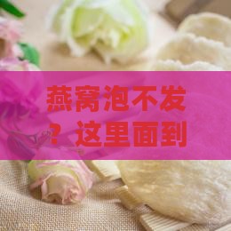 燕窝泡不发？这里面到底藏着什么秘密？