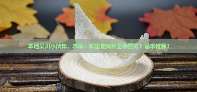 本地吴川小伙伴，求解：哪里能找到正宗燕窝？急求推荐！