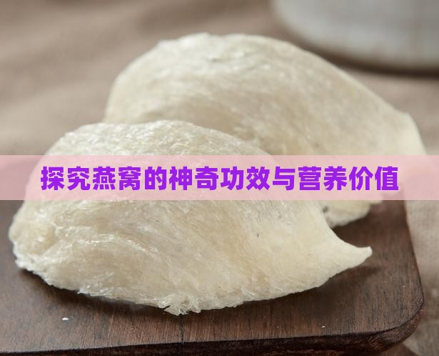探究燕窝的神奇功效与营养价值