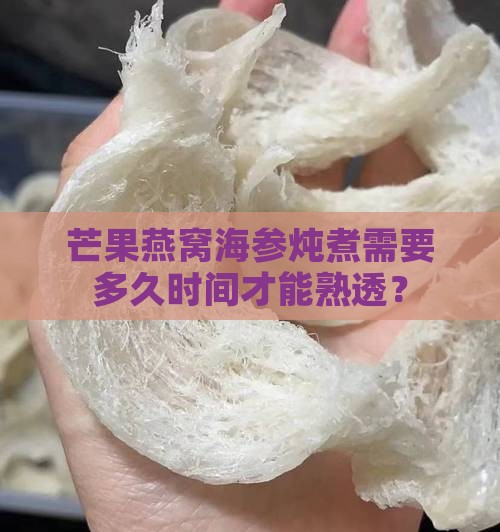芒果燕窝海参炖煮需要多久时间才能熟透？