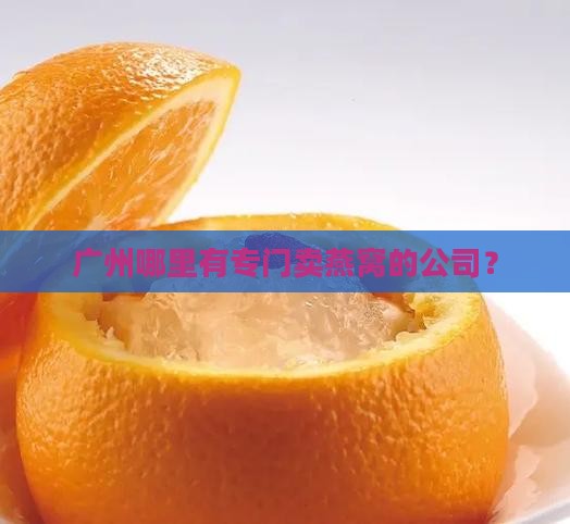 广州哪里有专门卖燕窝的公司？