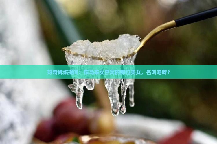 好奇妹纸提问：在马来卖燕窝的那位美女，名叫啥呀？