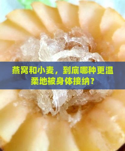 燕窝和小麦，到底哪种更温柔地被身体接纳？