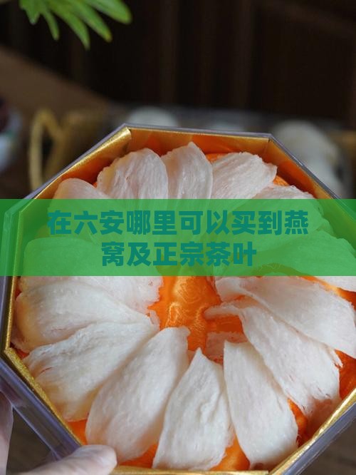 在六安哪里可以买到燕窝及正宗茶叶