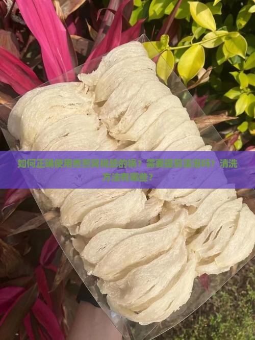 如何正确使用煮燕窝桃胶的锅？需要提前浸泡吗？清洗方法有哪些？