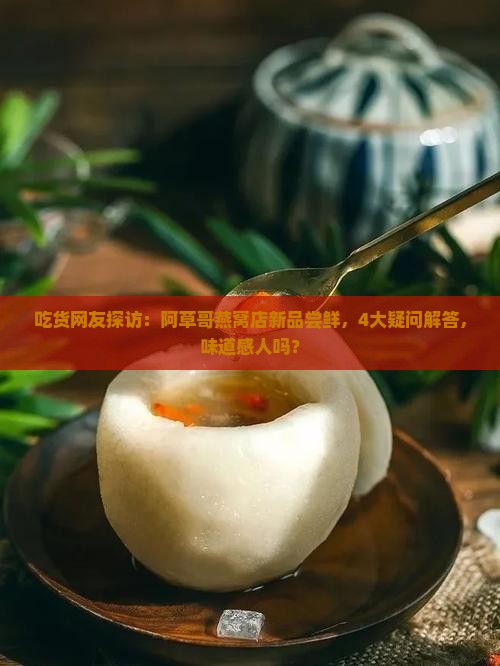 吃货网友探访：阿草哥燕窝店新品尝鲜，4大疑问解答，味道感人吗？