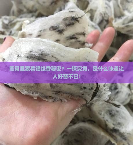 燕窝里藏着锡纸香秘密？一探究竟，是什么味道让人好奇不已！