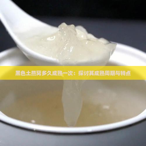 黑色土燕窝多久成熟一次：探讨其成熟周期与特点