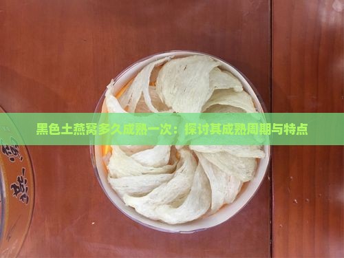 黑色土燕窝多久成熟一次：探讨其成熟周期与特点