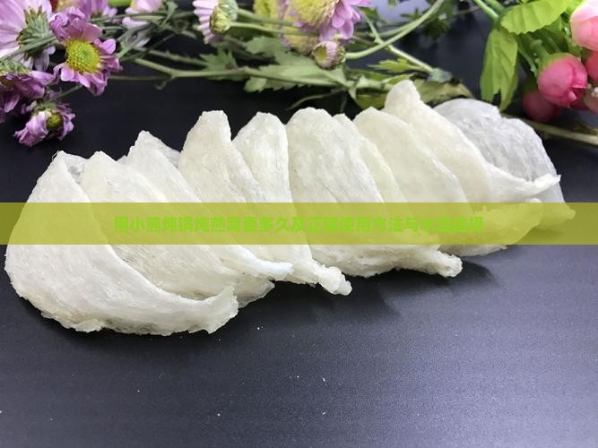 用小熊炖锅炖燕窝要多久及正确使用方法与水温选择