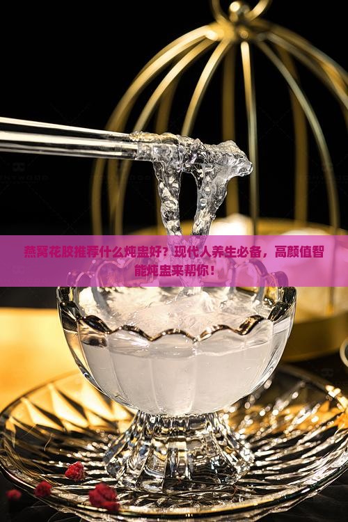 燕窝花胶推荐什么炖盅好？现代人养生必备，高颜值智能炖盅来帮你！