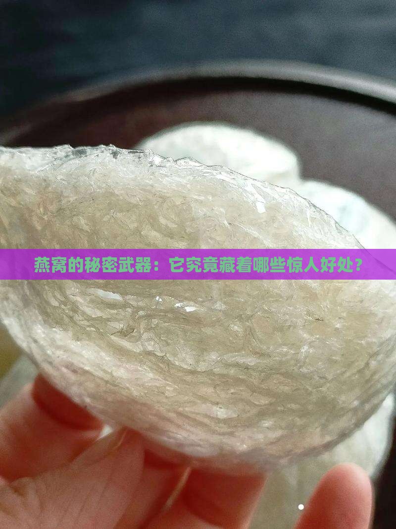 燕窝的秘密武器：它究竟藏着哪些惊人好处？