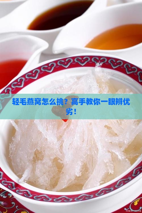 轻毛燕窝怎么挑？高手教你一眼辨优劣！