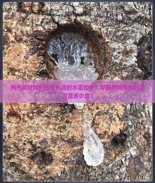 炖燕窝时如何选择合适的水温加热？掌握燕窝炖煮的温度是多少度？