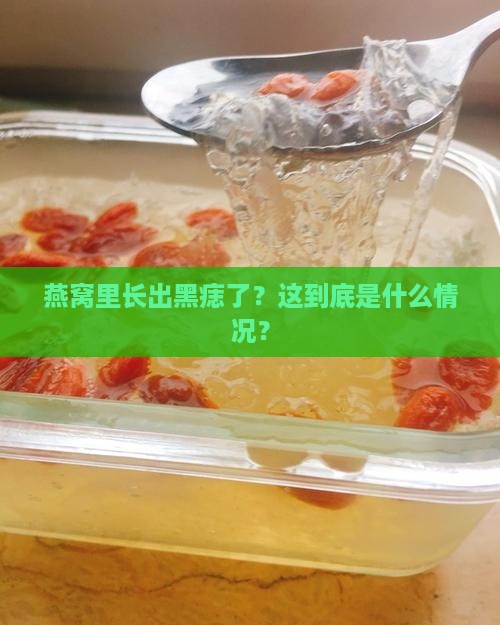 燕窝里长出黑痣了？这到底是什么情况？