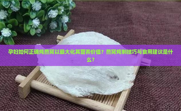 孕妇如何正确炖燕窝以最大化其营养价值？燕窝炖制技巧与食用建议是什么？