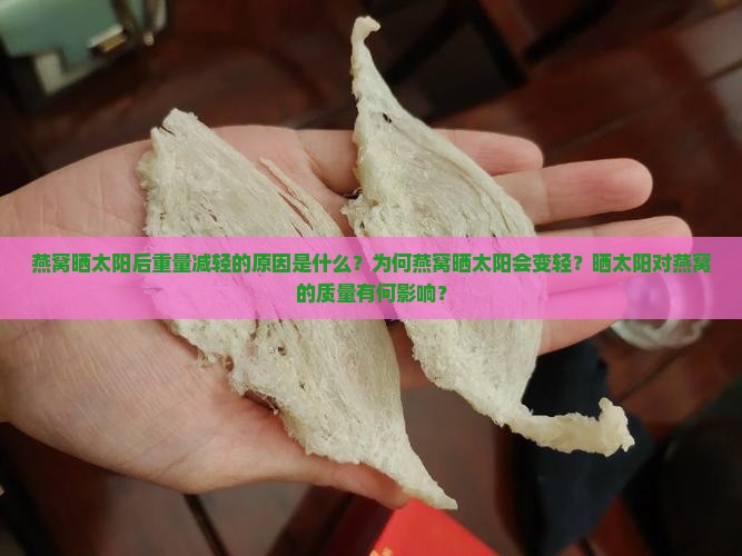 燕窝晒太阳后重量减轻的原因是什么？为何燕窝晒太阳会变轻？晒太阳对燕窝的质量有何影响？