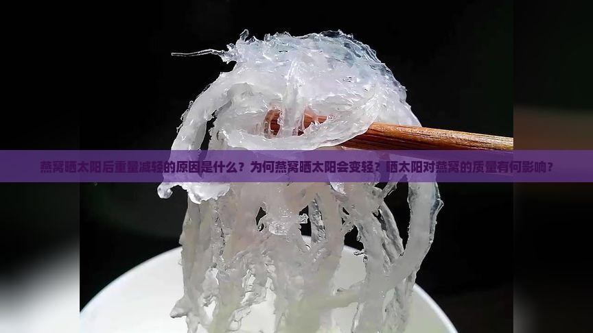 燕窝晒太阳后重量减轻的原因是什么？为何燕窝晒太阳会变轻？晒太阳对燕窝的质量有何影响？
