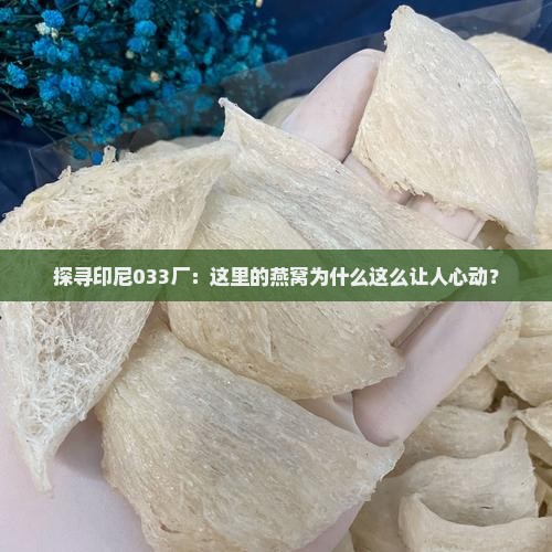 探寻印尼033厂：这里的燕窝为什么这么让人心动？