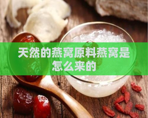 天然的燕窝原料燕窝是怎么来的
